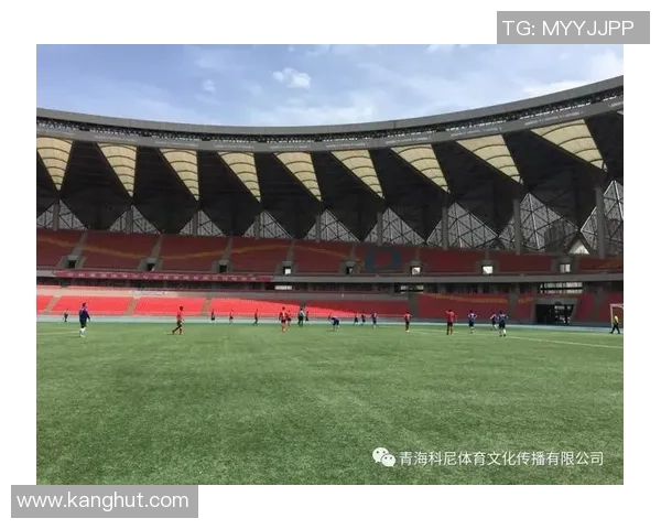 探索超级足球明星的魅力与成就之旅教案设计